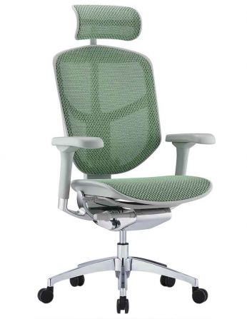 Крісло ергономічне ENJOY ELITE 2 (EJE2-AG-HAM-5D-L, СІТКА T-168-B6 GREEN)