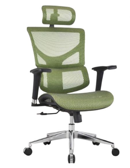 КРІСЛО EXPERT SAIL (SAPM01), ергономічне, зелена сітка