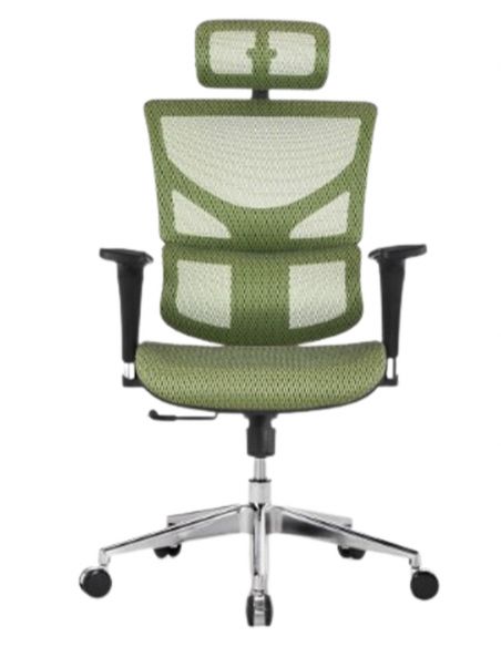 КРІСЛО EXPERT SAIL (SAPM01), ергономічне, зелена сітка