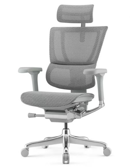 Крісло ергономічне MIRUS-IOO 2 (IOOE2-AG-HAM-5D-L, СІТКА Т-168-B2 NATURAL)