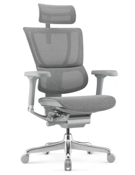 Крісло ергономічне MIRUS-IOO 2 (IOOE2-AG-HAM-5D-L, СІТКА Т-168-B2 NATURAL)