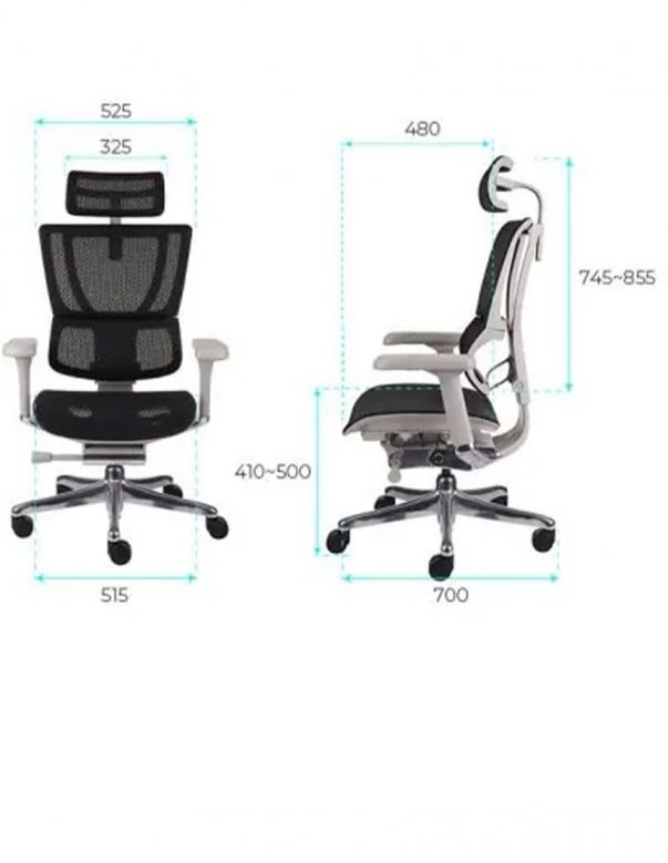 КРІСЛО ЕРГОНОМІЧНЕ MIRUS-IOO 2...