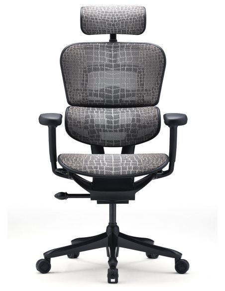 Крісло ERGOHUMAN SE (EHSE-AB-HAM-5D-E-D+LM-CH) ергономічне, чорне