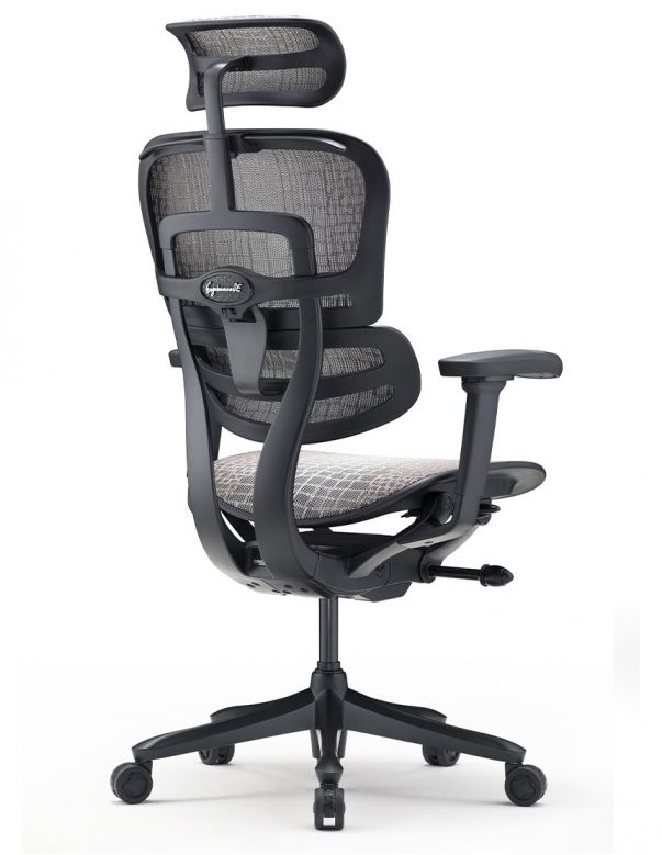 Крісло ERGOHUMAN SE...