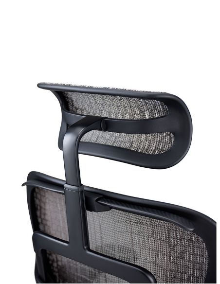 Крісло ERGOHUMAN SE (EHSE-AB-HAM-5D-E-D+LM-CH) ергономічне, чорне
