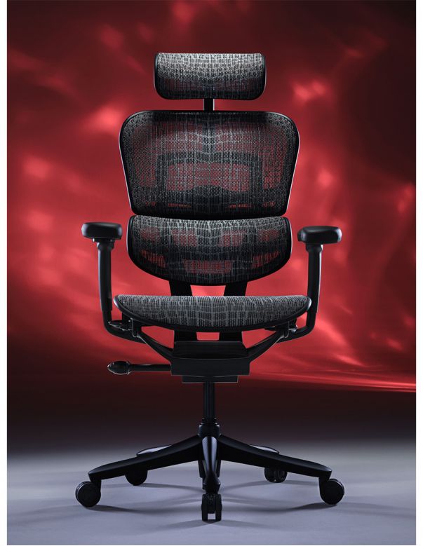 Крісло ERGOHUMAN SE...