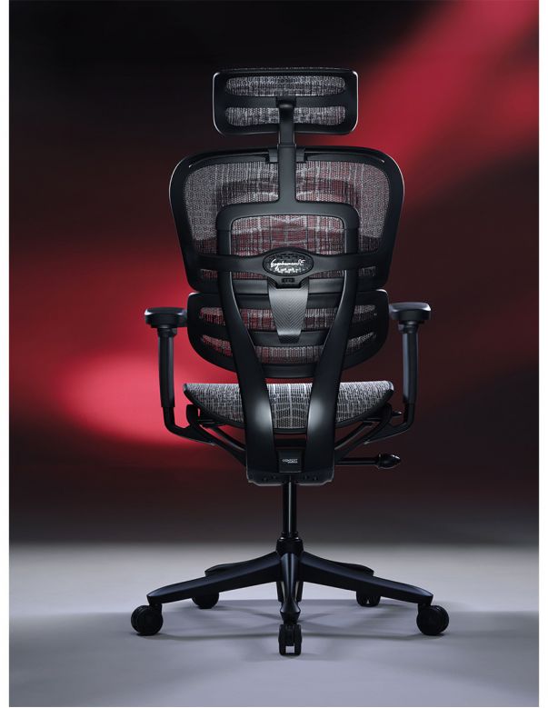 Крісло ERGOHUMAN SE...