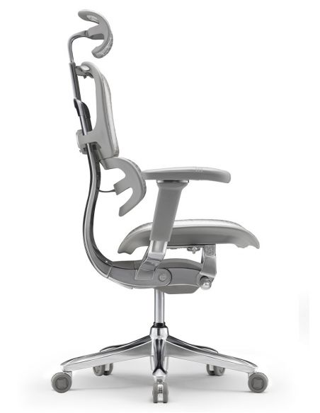 Крісло ERGOHUMAN SE (EHSE-AG-HAM-5D-E-D+LM-CH) ергономічне, сіре