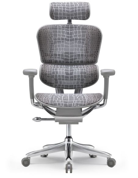 Крісло ERGOHUMAN SE (EHSE-AG-HAM-5D-E-D+LM-CH) ергономічне, сіре