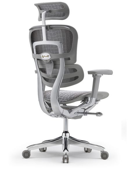 Крісло ERGOHUMAN SE (EHSE-AG-HAM-5D-E-D+LM-CH) ергономічне, сіре