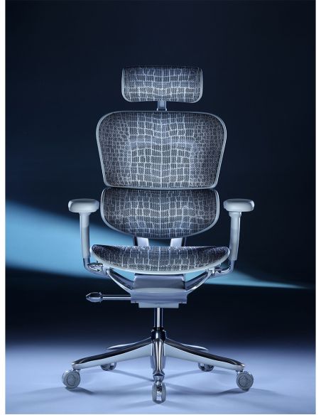 Крісло ERGOHUMAN SE (EHSE-AG-HAM-5D-E-D+LM-CH) ергономічне, сіре