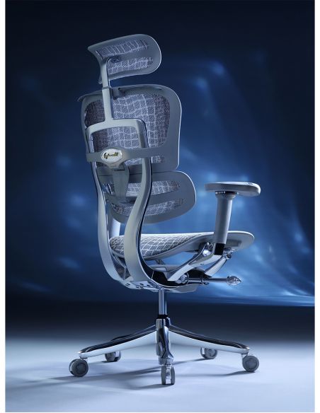 Крісло ERGOHUMAN SE (EHSE-AG-HAM-5D-E-D+LM-CH) ергономічне, сіре