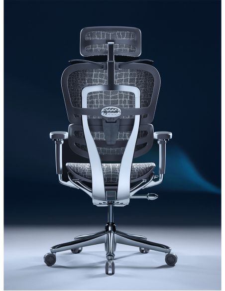 Крісло ERGOHUMAN SE (EHSE-AG-HAM-5D-E-D+LM-CH) ергономічне, сіре