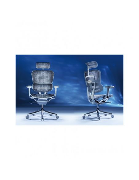 Крісло ERGOHUMAN SE (EHSE-AG-HAM-5D-E-D+LM-CH) ергономічне, сіре