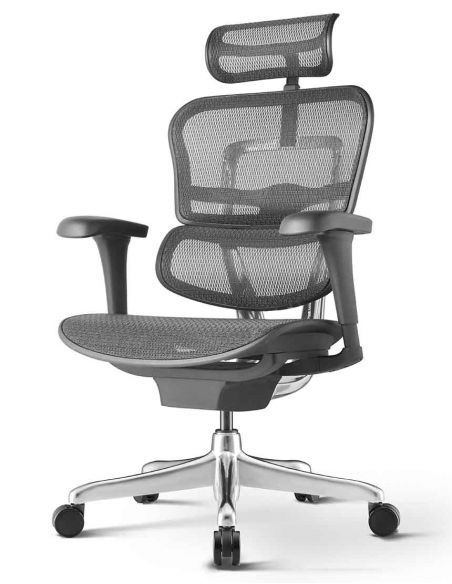 КРІСЛО ERGOHUMAN PROJECT 2 BLACK, ЕРГОНОМІЧНЕ