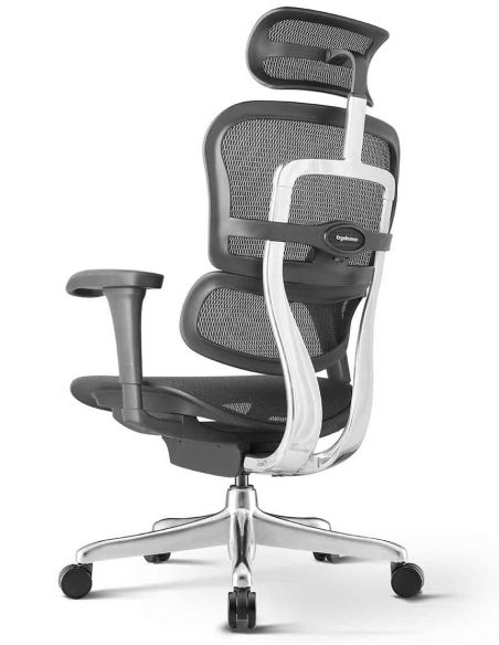 КРІСЛО ERGOHUMAN PROJECT 2 BLACK, ЕРГОНОМІЧНЕ