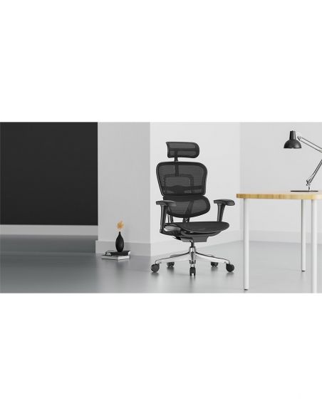 КРІСЛО ERGOHUMAN PROJECT 2 BLACK, ЕРГОНОМІЧНЕ