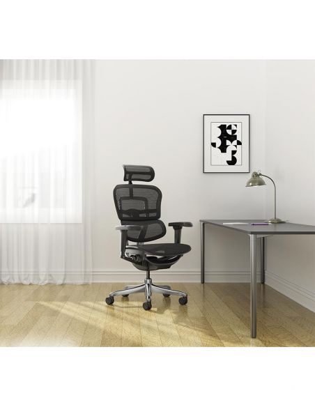 Крісло ERGOHUMAN ULTRA (EHU-AB-HAM-4D, сітка T-168-B1 BLACK), ергономічне