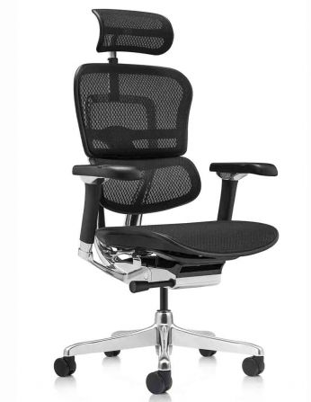 Крісло ергономічне ERGOHUMAN LUXURY 2 (EHL2-AB-HAM-5D-D,...