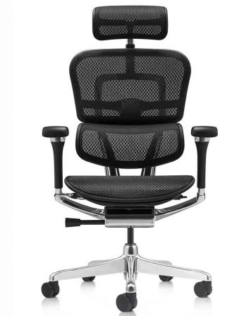 Крісло ергономічне ERGOHUMAN LUXURY 2 (EHL2-AB-HAM-5D-D,... 2