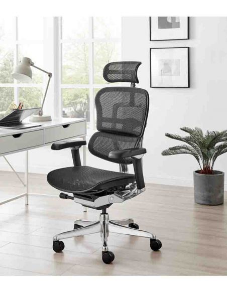 Крісло ергономічне ERGOHUMAN LUXURY 2 (EHL2-AB-HAM-5D-L, СІТКА Т-168-B1 BLACK)