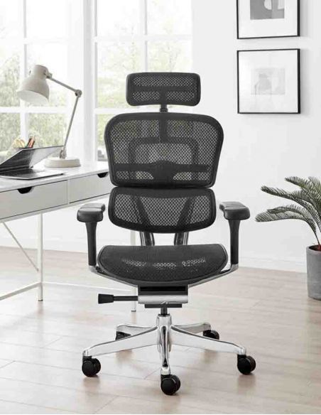 Крісло ергономічне ERGOHUMAN LUXURY 2 (EHL2-AB-HAM-5D-L, СІТКА Т-168-B1 BLACK)