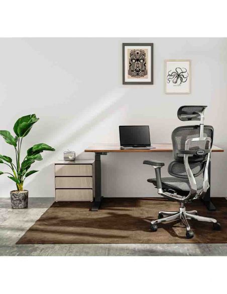 Крісло ергономічне ERGOHUMAN LUXURY 2 (EHL2-AB-HAM-5D-D, СІТКА Т-168-B1 BLACK)
