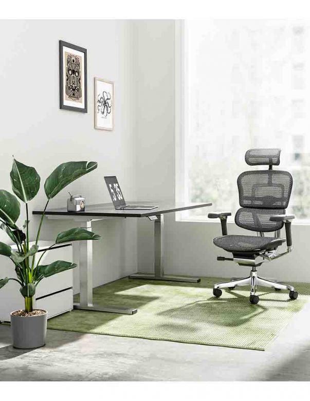 Крісло ергономічне ERGOHUMAN LUXURY 2...