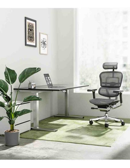 Крісло ергономічне ERGOHUMAN LUXURY 2 (EHL2-AB-HAM-5D-D, СІТКА Т-168-B1 BLACK)