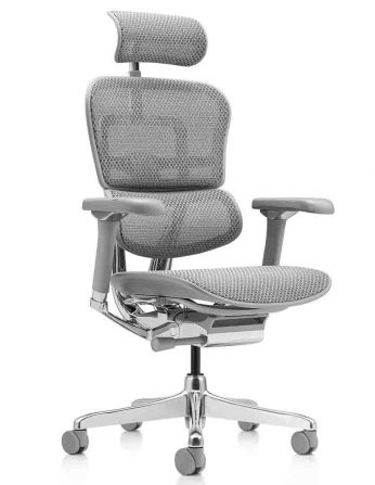 Крісло ERGOHUMAN LUXURY 2 (EHL2-AG-HAM-5D-L, сітка...