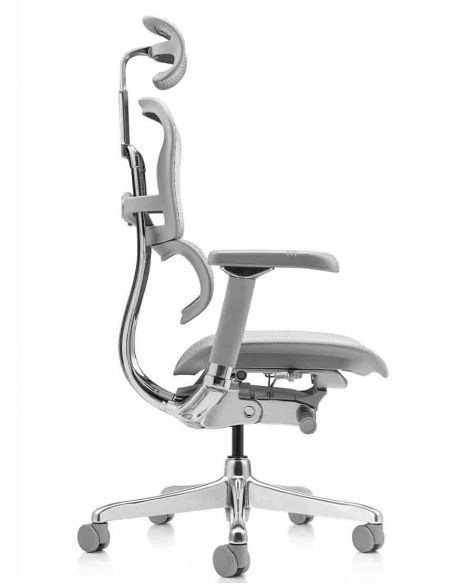 Крісло ERGOHUMAN LUXURY 2 (EHL2-AG-HAM-5D-L, сітка Т-168-B2 Natural), ергономічне