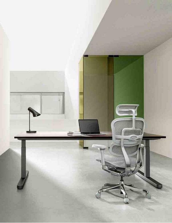 Крісло ERGOHUMAN LUXURY 2...