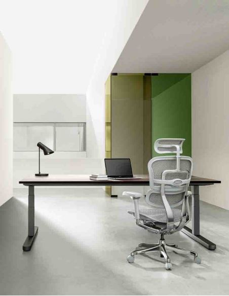 Крісло ERGOHUMAN LUXURY 2 (EHL2-AG-HAM-5D-L, сітка Т-168-B2 Natural), ергономічне