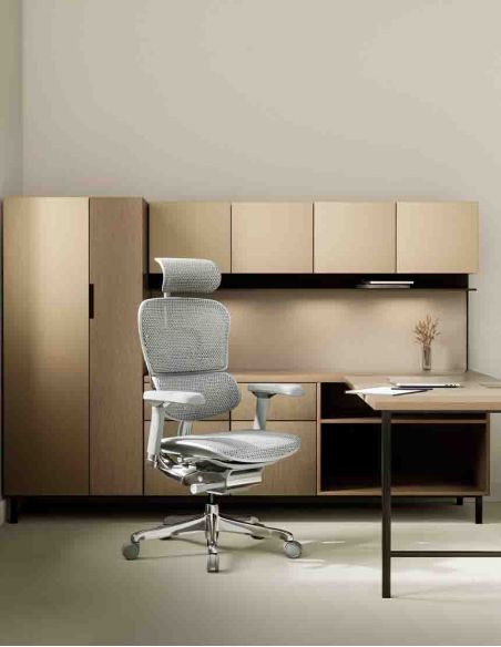 Крісло ERGOHUMAN LUXURY 2 (EHL2-AG-HAM-5D-D, сітка Т-168-B2 Natural), ергономічне
